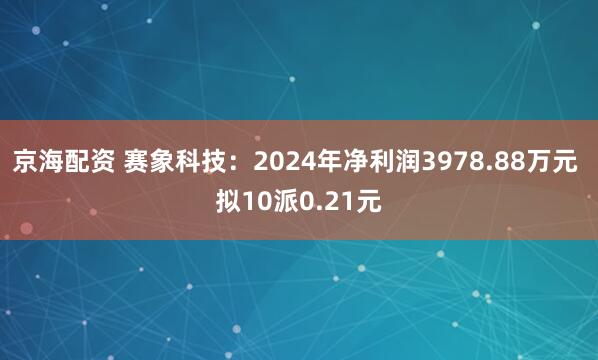 京海配资 赛象科技：2024年净利润3978.88万元 拟10派0.21元