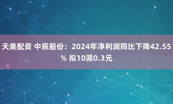 天美配资 中辰股份：2024年净利润同比下降42.55% 拟10派0.3元