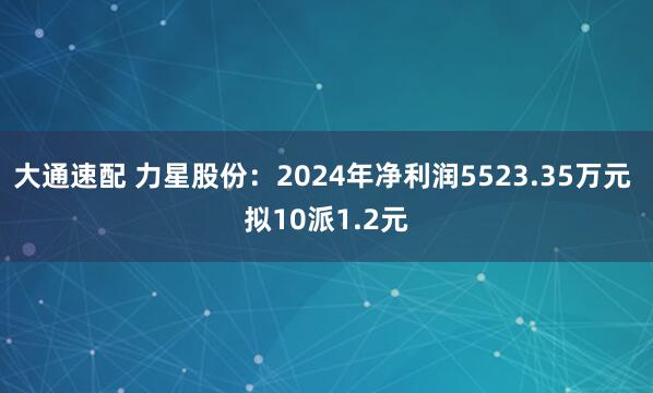 大通速配 力星股份：2024年净利润5523.35万元 拟10派1.2元