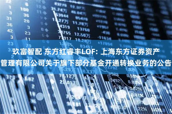 玖富智配 东方红睿丰LOF: 上海东方证券资产管理有限公司关于旗下部分基金开通转换业务的公告